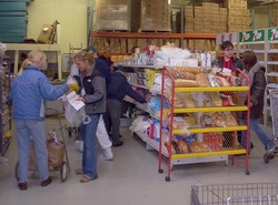 Picture of Students Serving in a Food Bank on an Urban Plunge